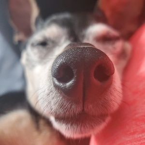 Meet your Posher, Carolyn